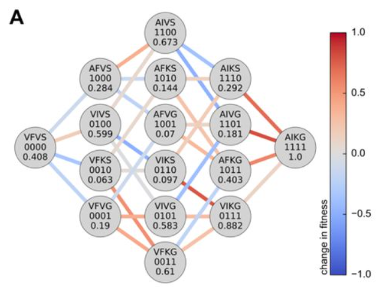 Pasted Graphic 26.png