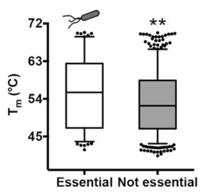 Pasted image 20260324085157.png