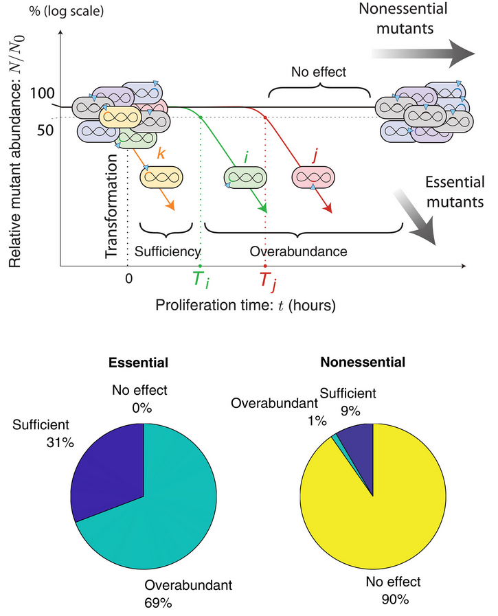 Pasted image 20260324085338.png